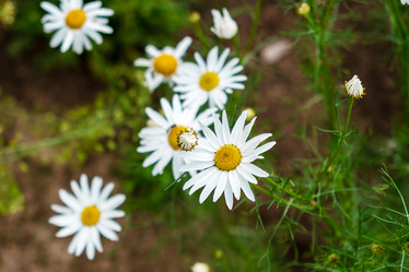 Similar image 21621122