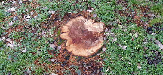 Similar image 21627241