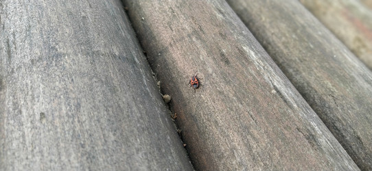 Similar image 21627243