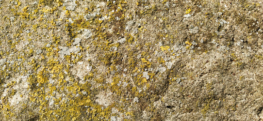 Similar image 21627244