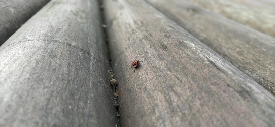 Similar image 21627253