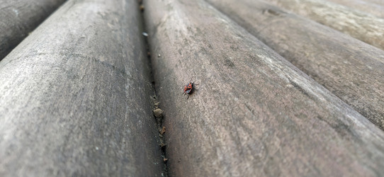 Similar image 21627257