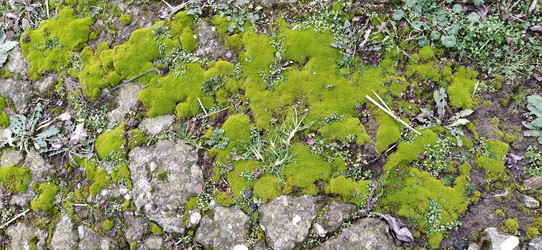 Similar image 21627258