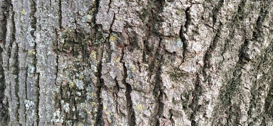 Similar image 21627259