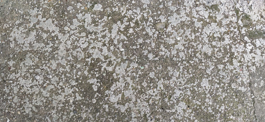 Similar image 21627622