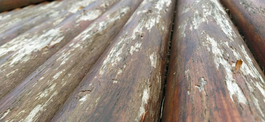 Similar image 21627623