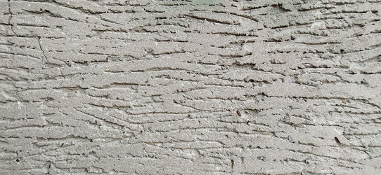 Similar image 21627624