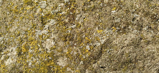 Similar image 21627627