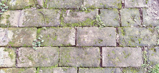 Similar image 21627629