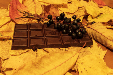 Similar image 21618025