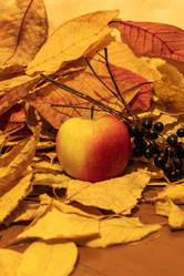 Similar image 21618026