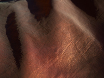 Similar image 21629255