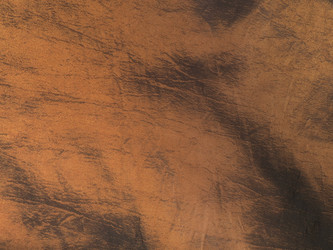 Similar image 21629258