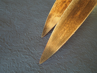 Similar image 21629264