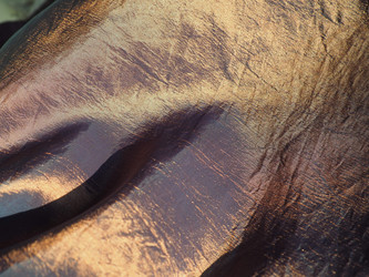 Similar image 21629265