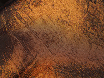 Similar image 21629266