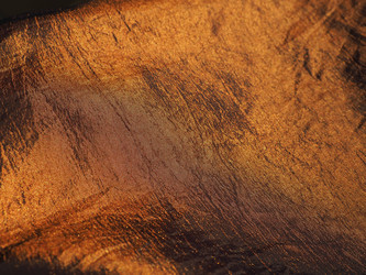 Similar image 21629269