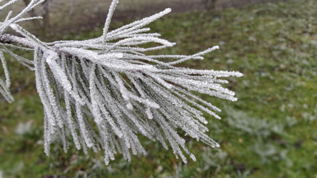 Similar image 21621705