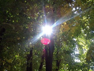 Similar image 21621708