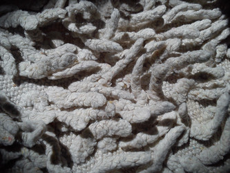 Similar image 21621714