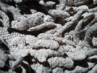 Similar image 21621716