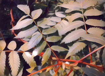 Similar image 21621726