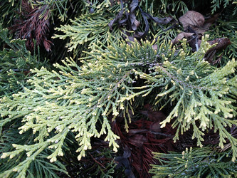 Similar image 21621964