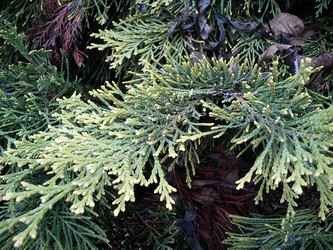 Similar image 21621966