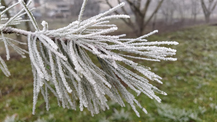 Similar image 21621971