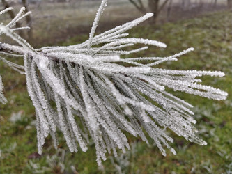 Similar image 21621972