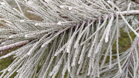 Similar image 21621974