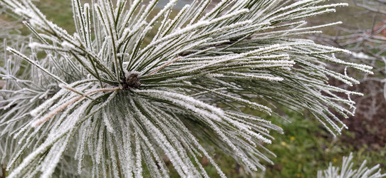 Similar image 21621976