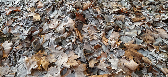 Similar image 21621981