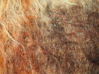 Similar image 21629314