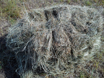 Similar image 21627067