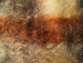 Similar image 21627298