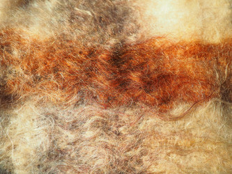 Similar image 21627299