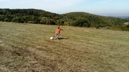 Similar image 21627304