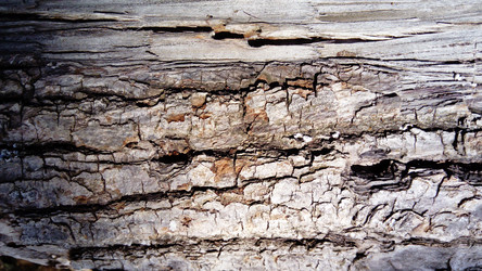 Similar image 21627308