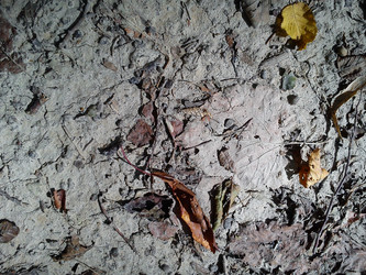 Similar image 21627309