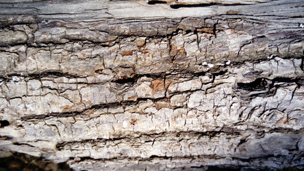 Similar image 21627319