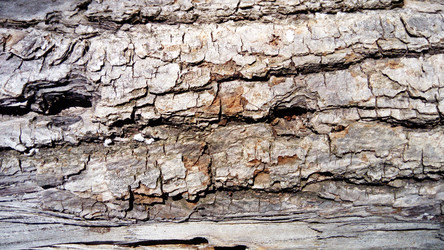 Similar image 21627323