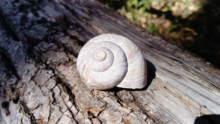 Similar image 21627699