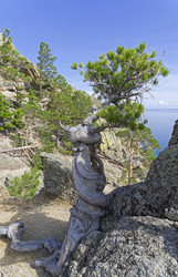 Similar image 21621215