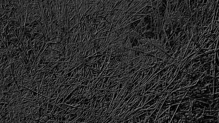 Similar image 21627703