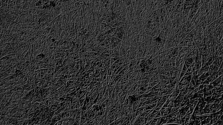 Similar image 21627705