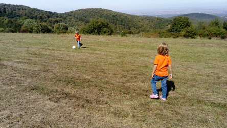 Similar image 21627707