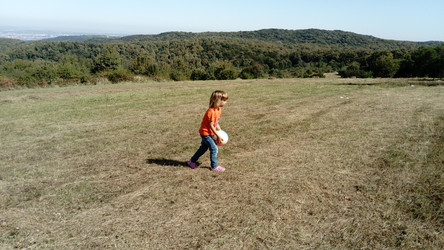 Similar image 21627711