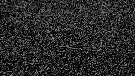 Similar image 21627712