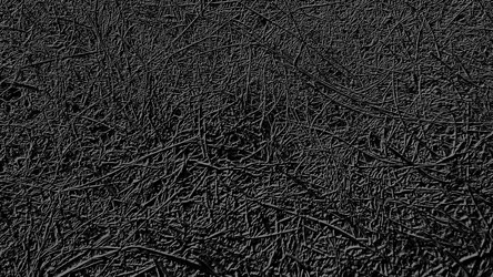 Similar image 21627716